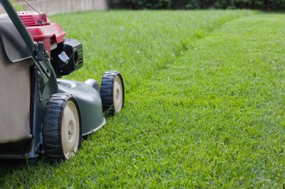 Industrial Lawn Service detail