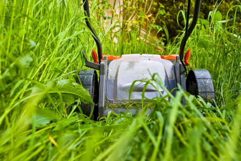 Residential Lawn Mowing detail