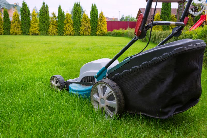 Summer Lawn Maintenance