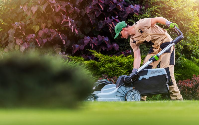 Lawn Care Professionals at Work