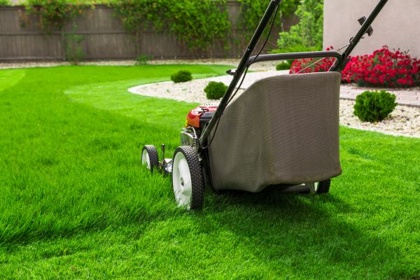 Cost of Home Yard Maintenance in Bremerton