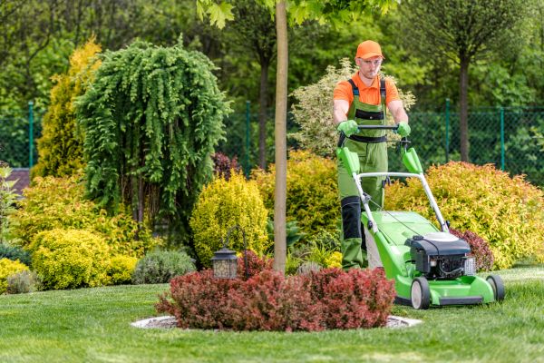 Cost of Weekly Lawn Maintenance in Bremerton