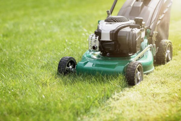 Cost of Yard Cutting in Bremerton