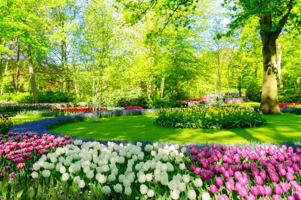 Cost of Spring Lawn Care in Bremerton