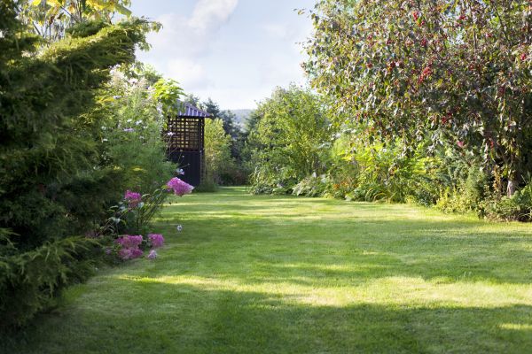 Cost of Yard Upkeep Service in Bremerton