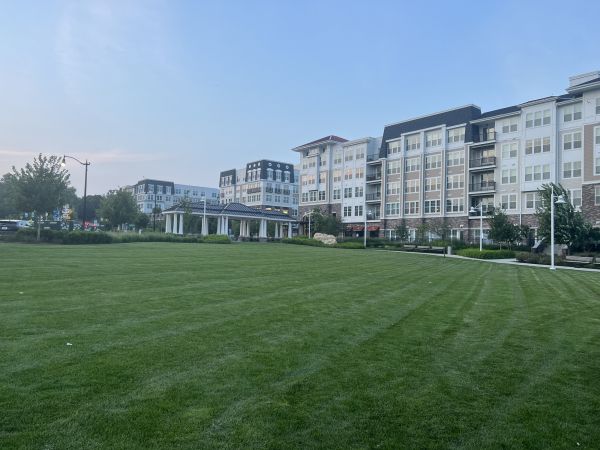 Cost of Urban Lawn Care in Bremerton