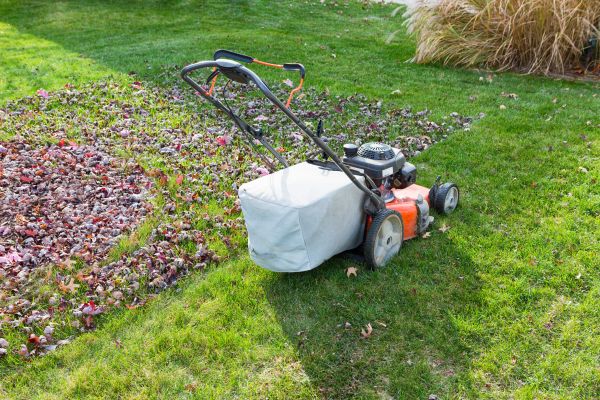 Cost of Seasonal Lawn Care in Bremerton