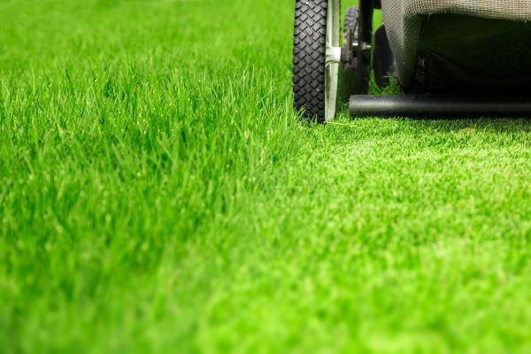 Cost of Weekly Lawn Care in Bremerton