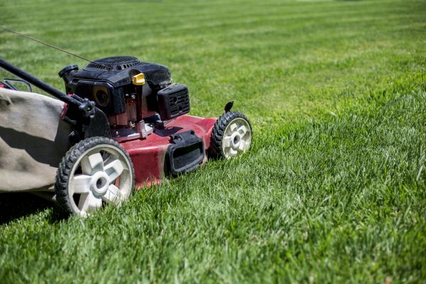 Cost of Routine Lawn Care in Bremerton