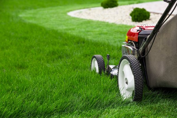 Cost of Turf Mowing in Bremerton