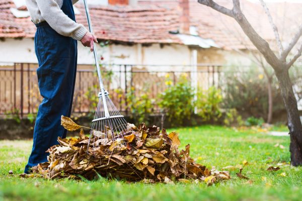 Cost of Routine Lawn Maintenance in Bremerton