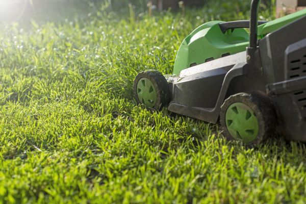 Cost of Lot Mowing in Bremerton