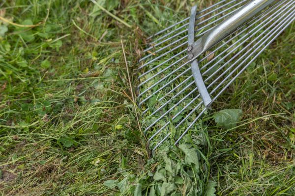 Cost of Thatch Raking in Bremerton