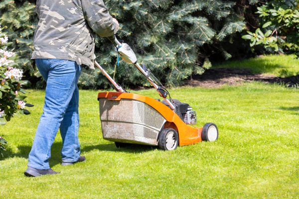 Cost of Springtime Lawn Care in Bremerton