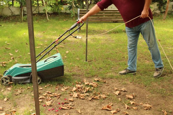 Cost of Leaves Mowing in Bremerton