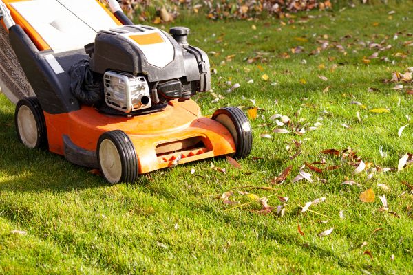 Cost of Fall Mowing in Bremerton