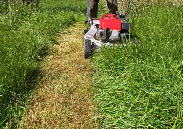 Cost of Leaf Mowing in Bremerton