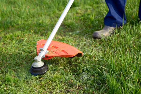 Cost of Lawn Weed Whacking in Bremerton