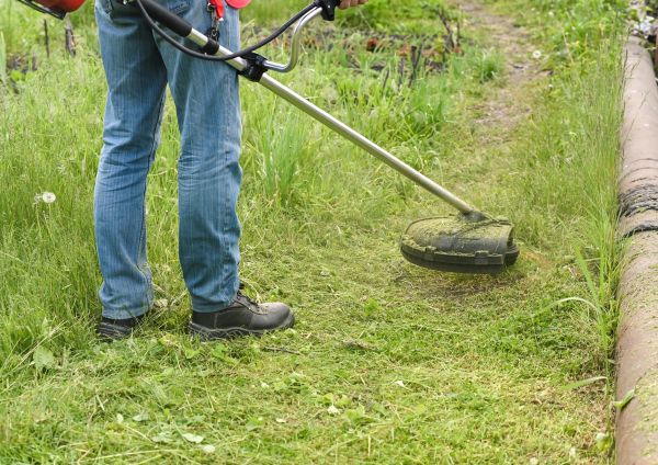 Cost of Tall Grass Trimming in Bremerton